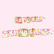 Dog Collar - Confetti