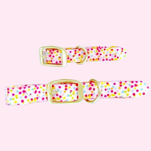 Dog Collar - Confetti