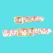 Dog Collar - Confetti